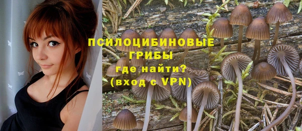 трава Абинск