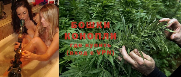 трава Абаза