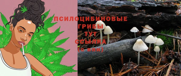 трава Абинск