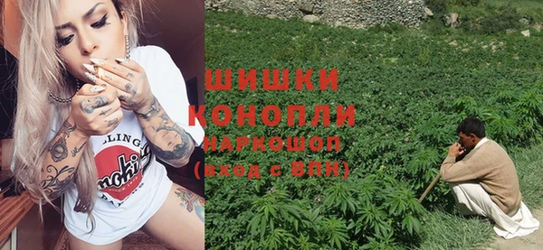 трава Абаза