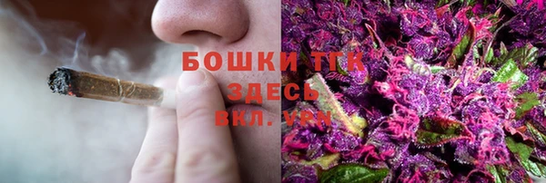 трава Абаза