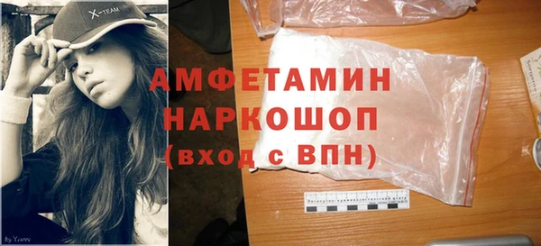 индика Волосово
